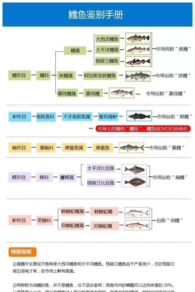 油鱼和鳕鱼的区别，真鳕鱼和油鱼的区别图5