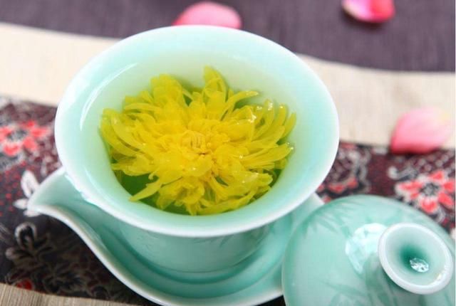 白菊花和黄菊花有什么不同图1