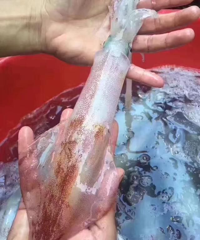 海虾的营养价值，海虾有什么营养价值和功效图6