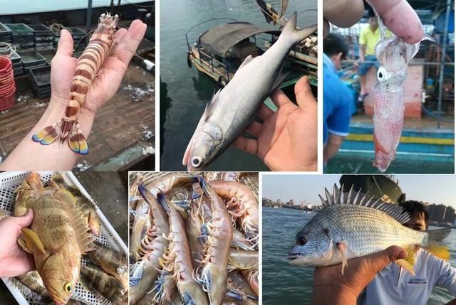 海虾的营养价值，海虾有什么营养价值和功效图7