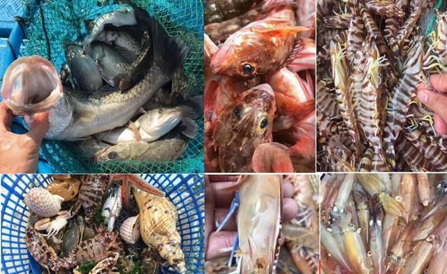海虾的营养价值，海虾有什么营养价值和功效图8