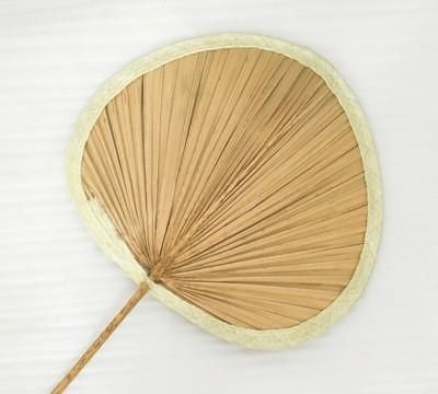 一把扇子过夏天图5