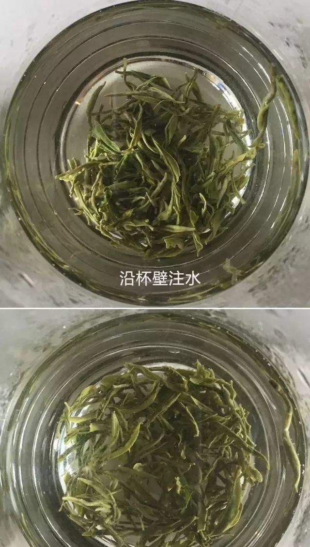 怎样泡茶最好图5