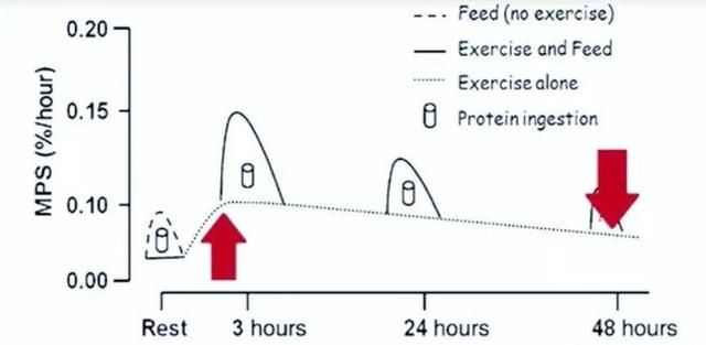 蛋白质粉什么时候吃，蛋白粉什么时候吃最好吸收图1