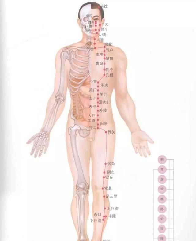 经络图谱，人体十四经络图口诀图3