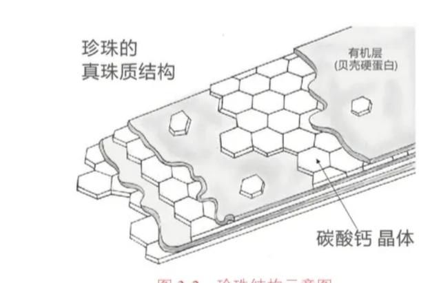 珍珠粉能美白吗，珍珠粉能美白皮肤吗图1