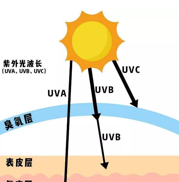 防晒霜的pa+++是什么意思图5