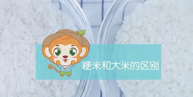 粳米和大米的区别图1