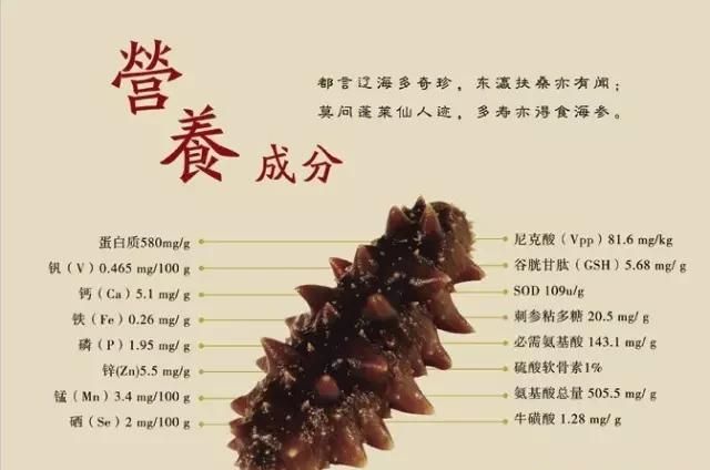 海生多少钱一斤，海参多少钱一斤?图3