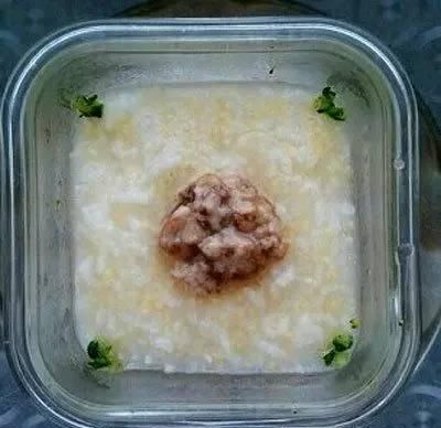 9个月宝宝食谱，9个月宝宝可以吃的辅食有哪些图3