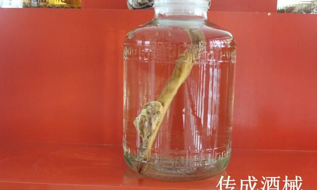时至盛夏，有人说夏季饮白酒，既解暑又养生，有依据吗能否分享你的夏季养生之道图1