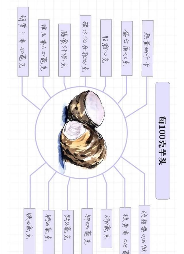 芋艿的营养价值，芋头的营养价值到底有多高图2