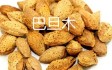 巴旦木和杏仁的区别