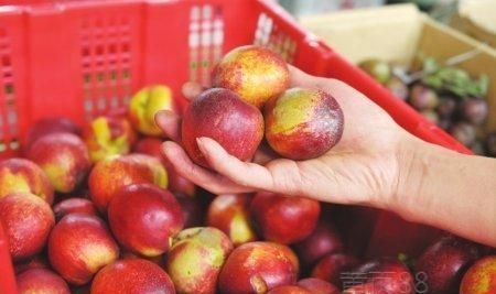 怀孕一个月可以吃油桃吗图3