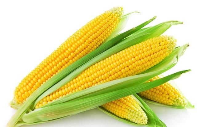 吃玉米会胖吗，吃玉米会发胖吗?图1
