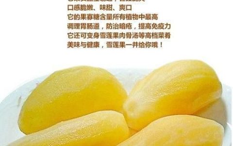 白薯的营养价值，像红薯一样的“雪莲果的营养价值”