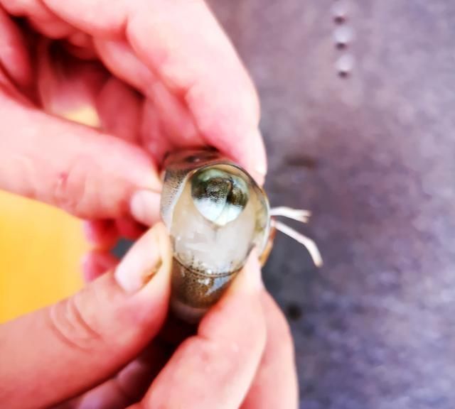 虾煮几分钟就熟了，虾在开水中煮几分钟才能熟图5