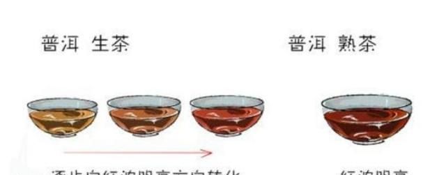 普洱茶生茶的泡法，生熟普洱茶的冲泡方法图10