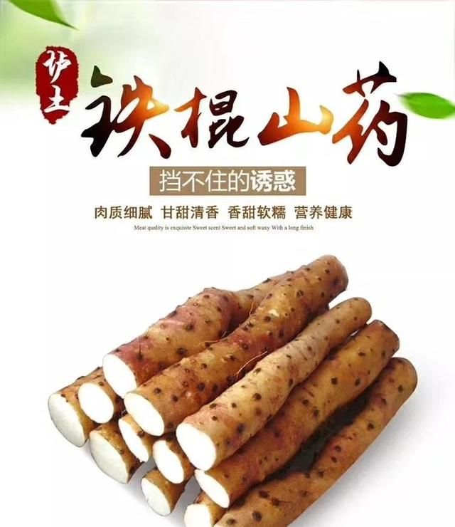 女性冬季养生茶，女性冬季养生食谱图6