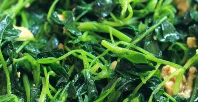 苜蓿怎么做着吃，苜蓿怎么做才好吃图3