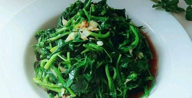 苜蓿怎么做着吃，苜蓿怎么做才好吃图4