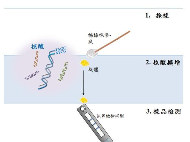 阴性与阳性，病毒检测阳性与阴性是依靠什么决定的呢图3