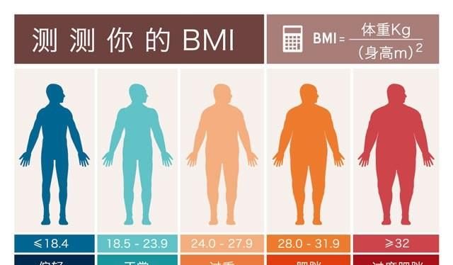 中国标准bmi值是多少图1