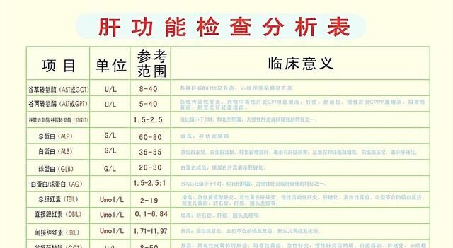 肝功能检查结果分析，肝功能检查怎么看报告单图10
