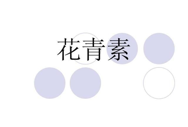 哪种食物花青素含量最高图1
