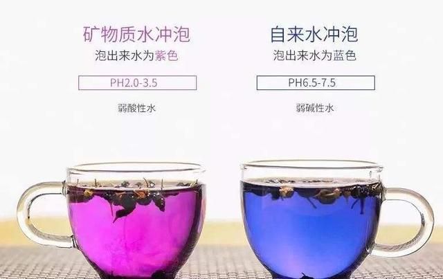 哪种食物花青素含量最高图8