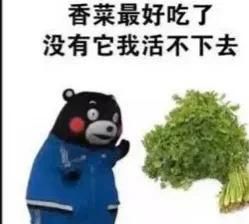 香菜炒蛋，香菜炒鸡蛋怎么炒好吃窍门图2