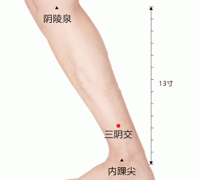 三伏贴期间可以艾灸吗图5