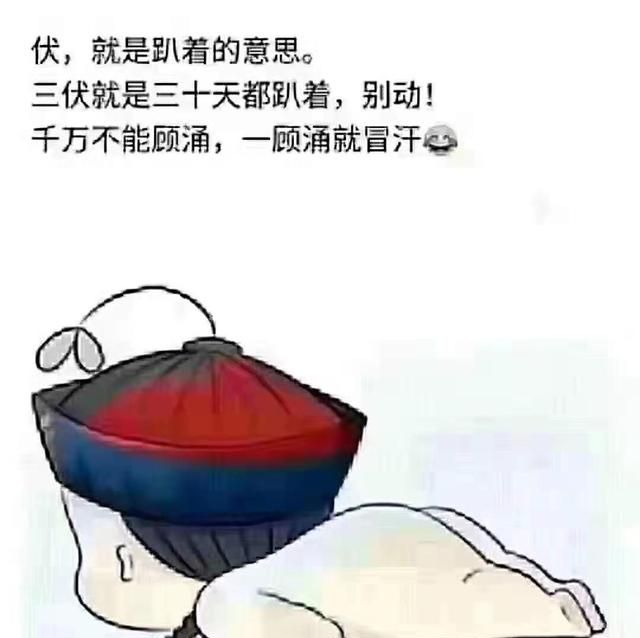 头伏饺子二伏面，三伏烙饼煎鸡蛋伏天的顺口溜和习俗，你都知道哪些图1