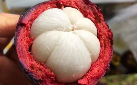 山竹的营养价值，吃山竹有什么营养价值