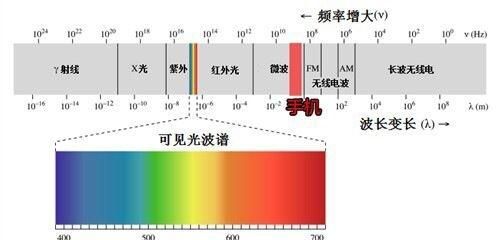 仙人掌防辐射是真的吗，桌子上放仙人掌可以防辐射吗图3