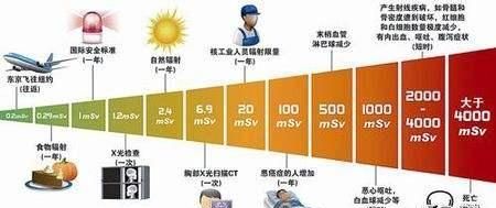 仙人掌防辐射是真的吗，桌子上放仙人掌可以防辐射吗图4