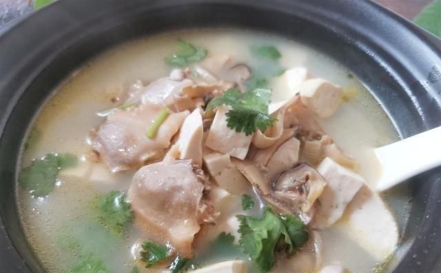 河蚌豆腐汤的做法，河蚌炖汤的做法大全图7