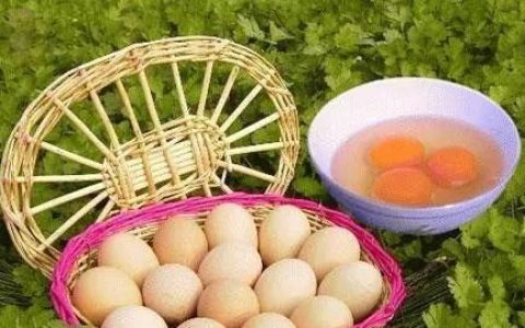 专家说农村的土鸡蛋和“洋鸡蛋”营养价值差不多，那为什么土鸡蛋价格更贵