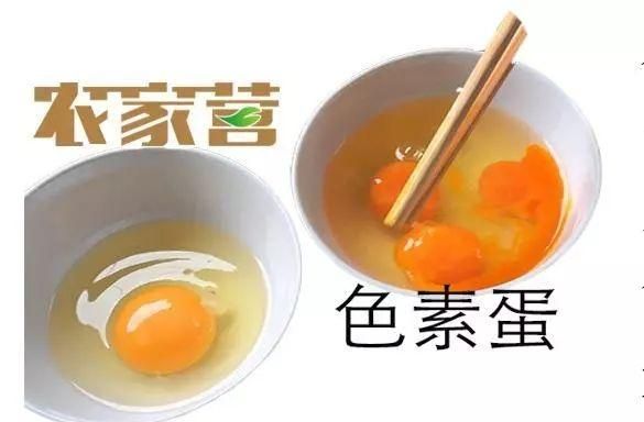 专家说农村的土鸡蛋和“洋鸡蛋”营养价值差不多，那为什么土鸡蛋价格更贵图4