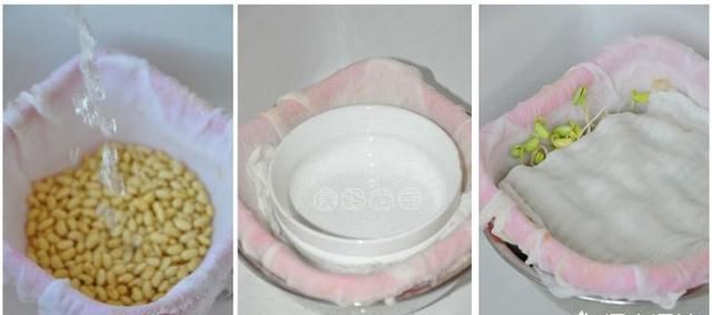 绿豆芽的生法，菜农生产的绿豆芽是在什么条件下进行的图6