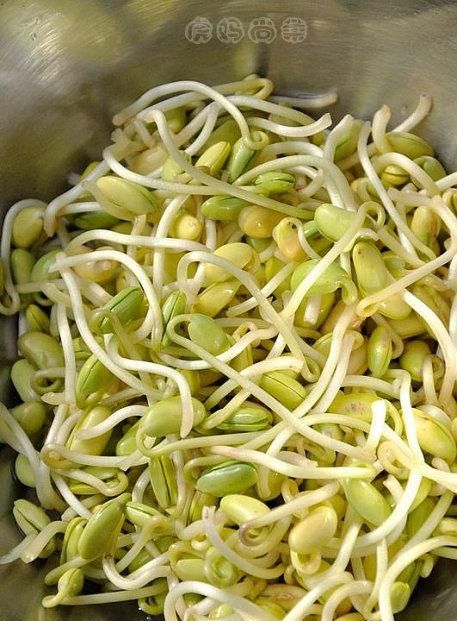 绿豆芽的生法，菜农生产的绿豆芽是在什么条件下进行的图8