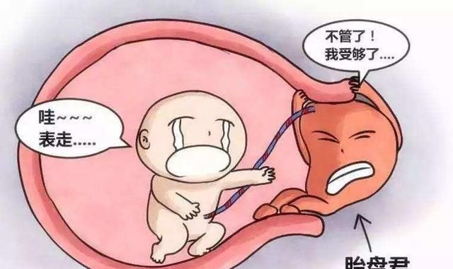 胎盘附于后壁其下缘达至宫颈内口，想知道具体的胎儿图是什么样的图8