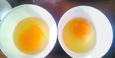 鸡蛋变质，鸡蛋在冰箱里可以保存多久不变质图7