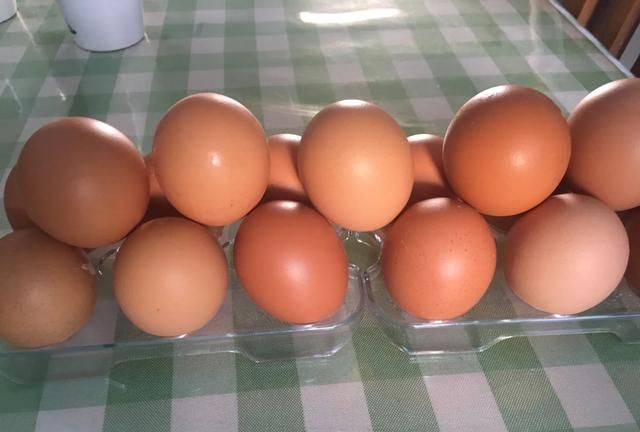 鸡蛋变质，鸡蛋在冰箱里可以保存多久不变质图14