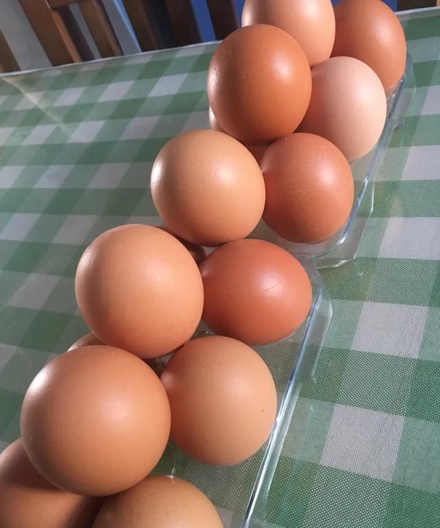 鸡蛋变质，鸡蛋在冰箱里可以保存多久不变质图16