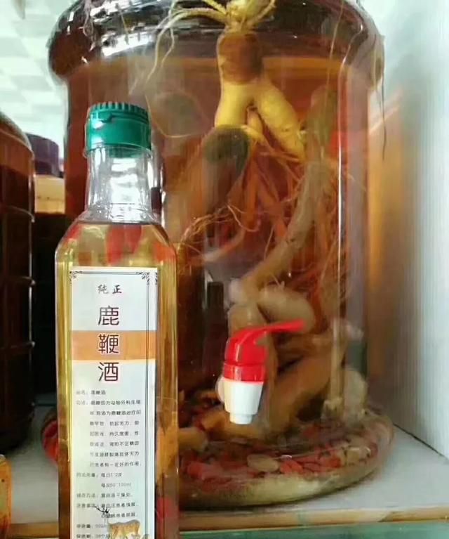 鹿鞭泡酒，一根鹿鞭可以泡多少斤酒图2