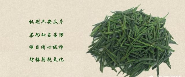 正宗的六安瓜片产地是哪里图1