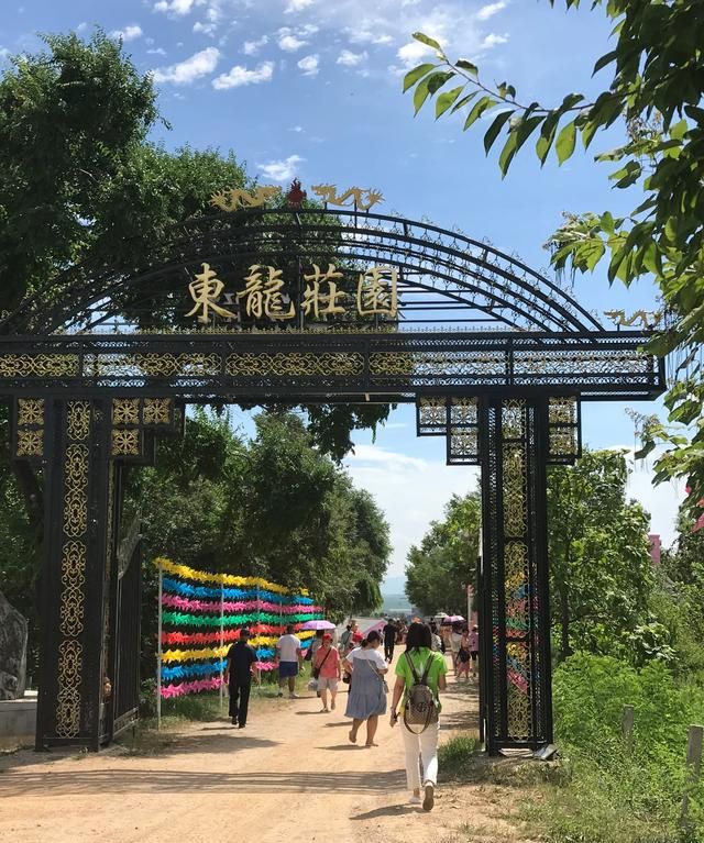 康宝莱奶昔图1