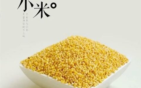 小米燕麦粥，小米跟燕麦煮粥有哪些营养价值