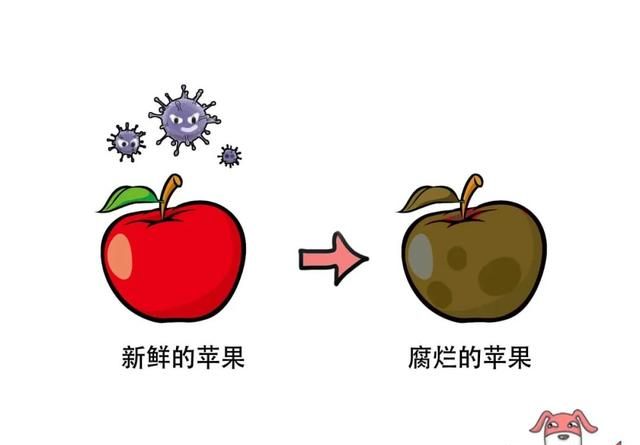 一般罐头的保质期很长是因为图3